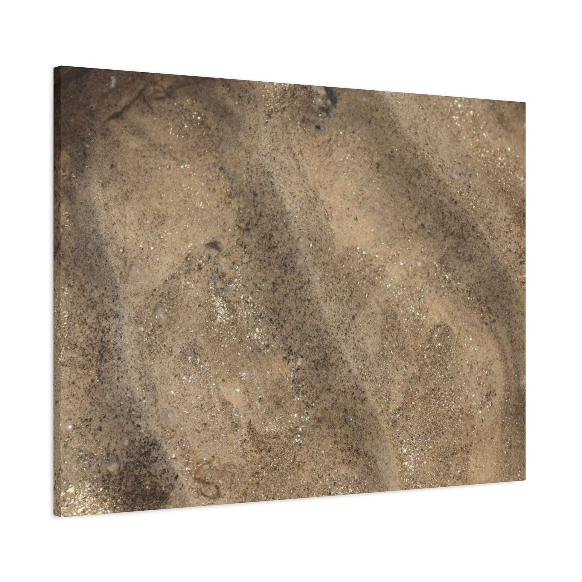 Shallow Waters - Unique Frameless Canvas Wall Art - Art By Earth