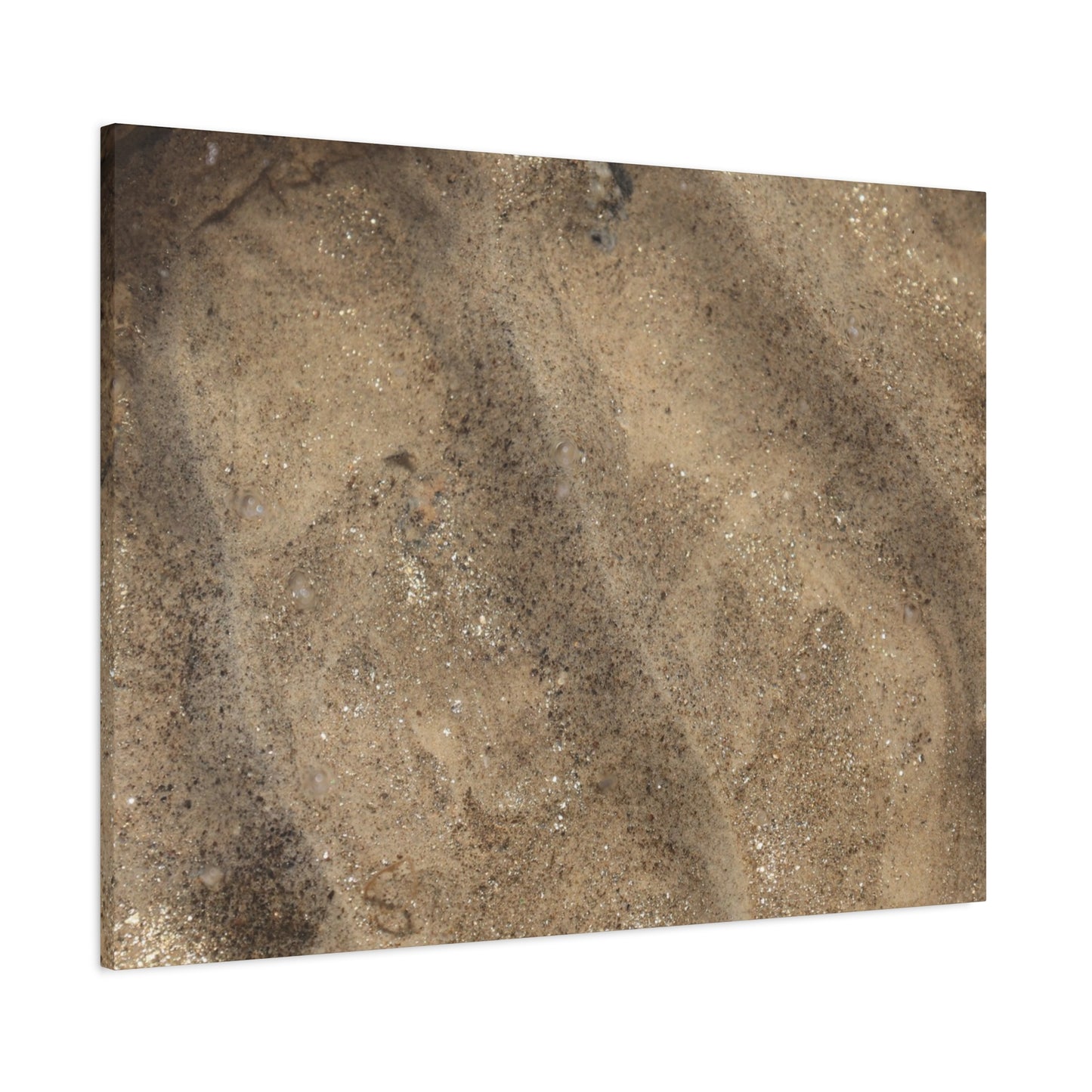 Shallow Waters - Unique Frameless Canvas Wall Art - Art By Earth