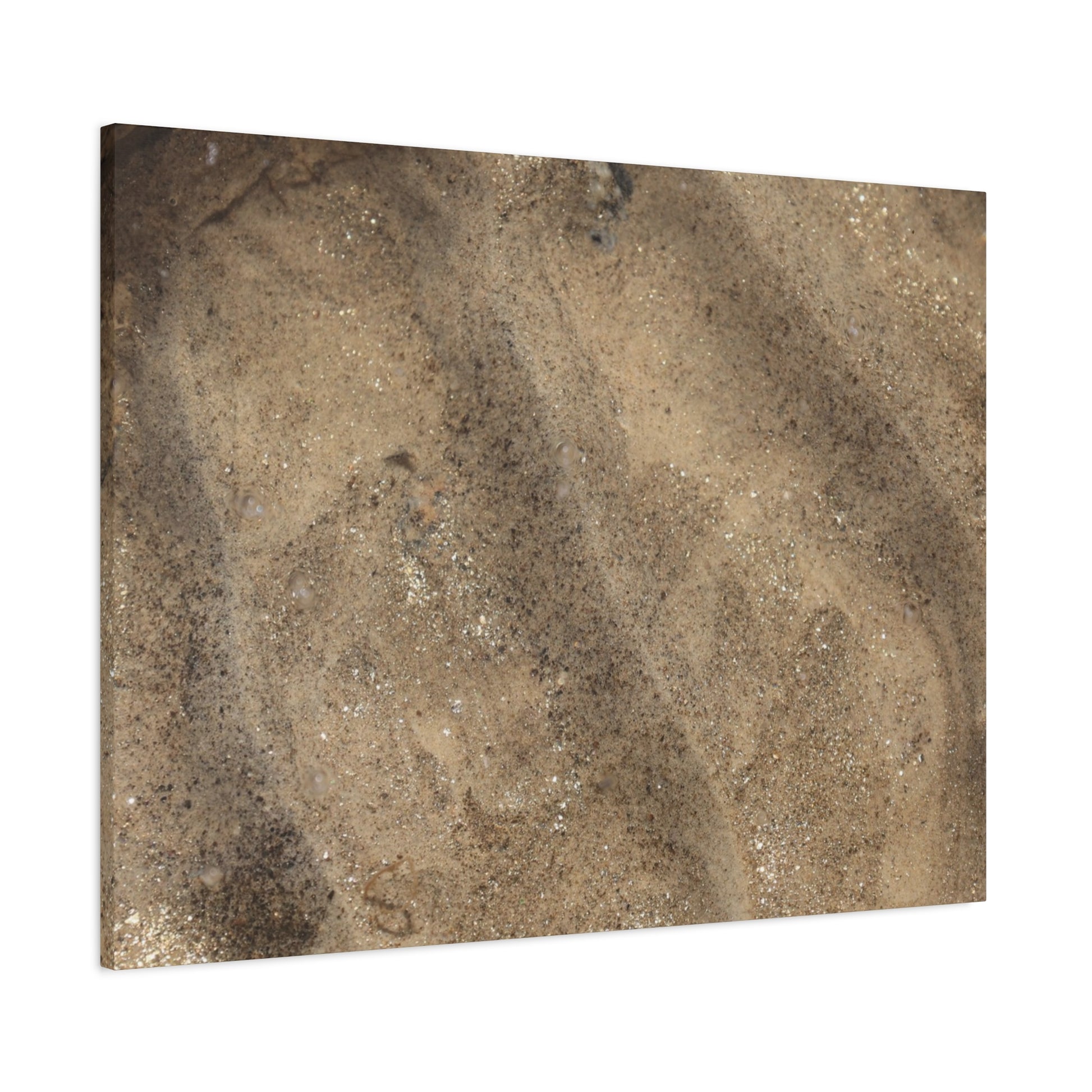 Shallow Waters - Unique Frameless Canvas Wall Art - Art By Earth
