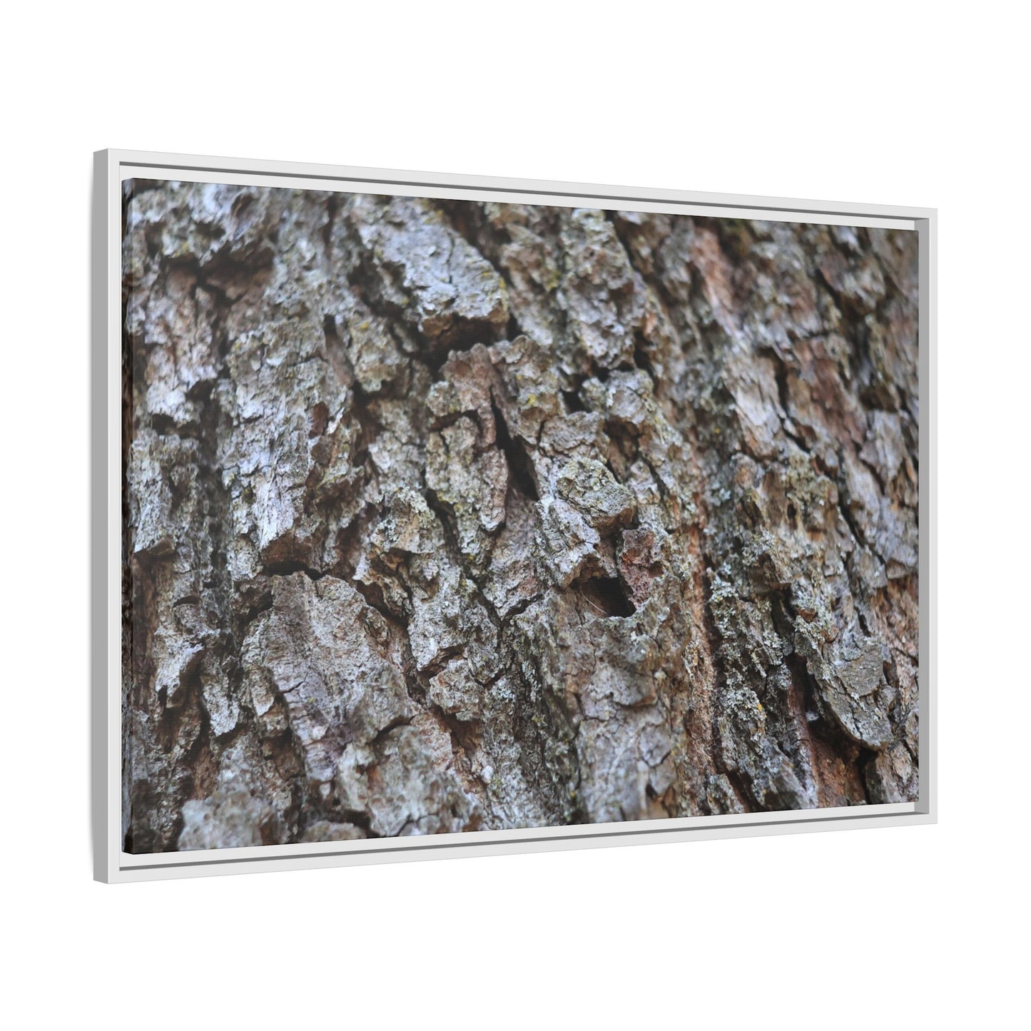 Woodland Canvas - Unique Stretched Canvas Wall Art - Art By Earth