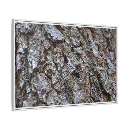 Woodland Canvas - Unique Stretched Canvas Wall Art - Art By Earth