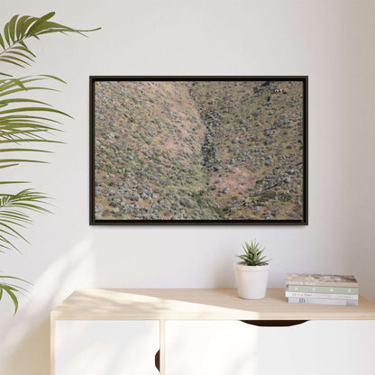 Mountain Slope with Desert Vegetation - Unique Stretched Canvas Wall Art - Art By Earth