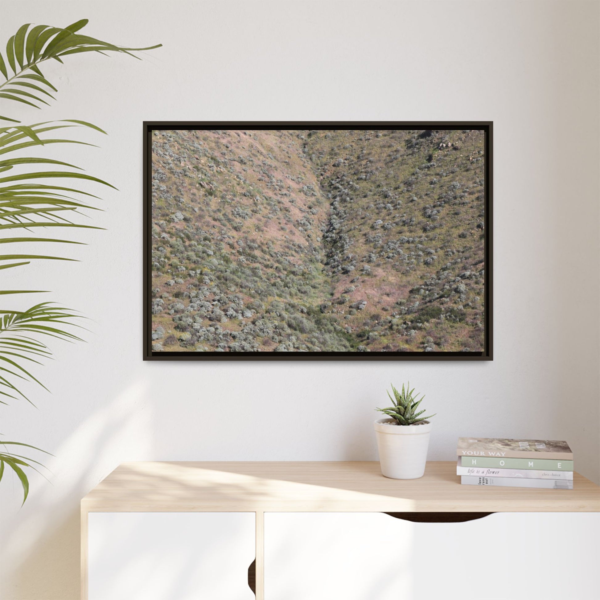 Mountain Slope with Desert Vegetation - Unique Stretched Canvas Wall Art - Art By Earth
