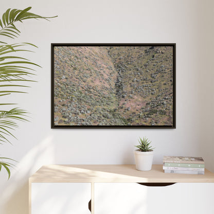 Mountain Slope with Desert Vegetation - Unique Stretched Canvas Wall Art - Art By Earth