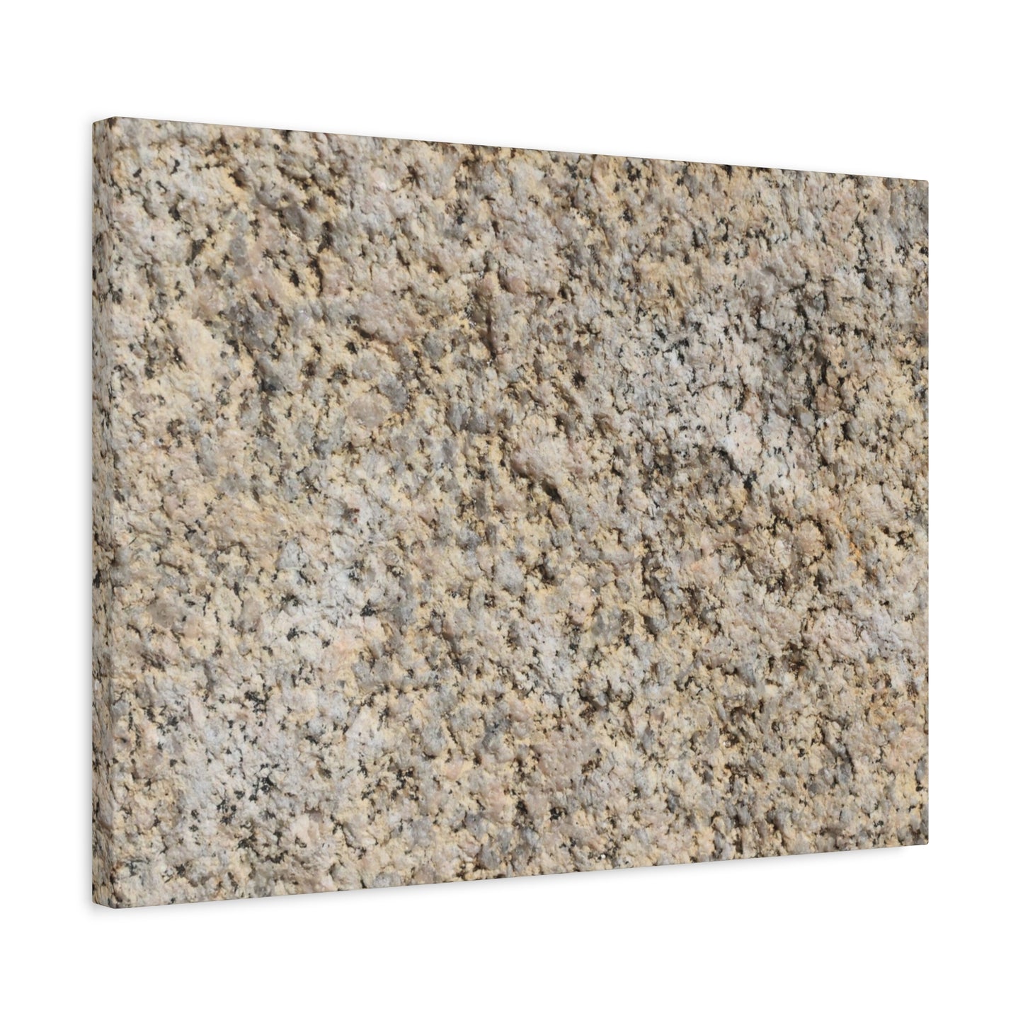 Granular Echoes - Unique Frameless Canvas Wall Art - Art By Earth