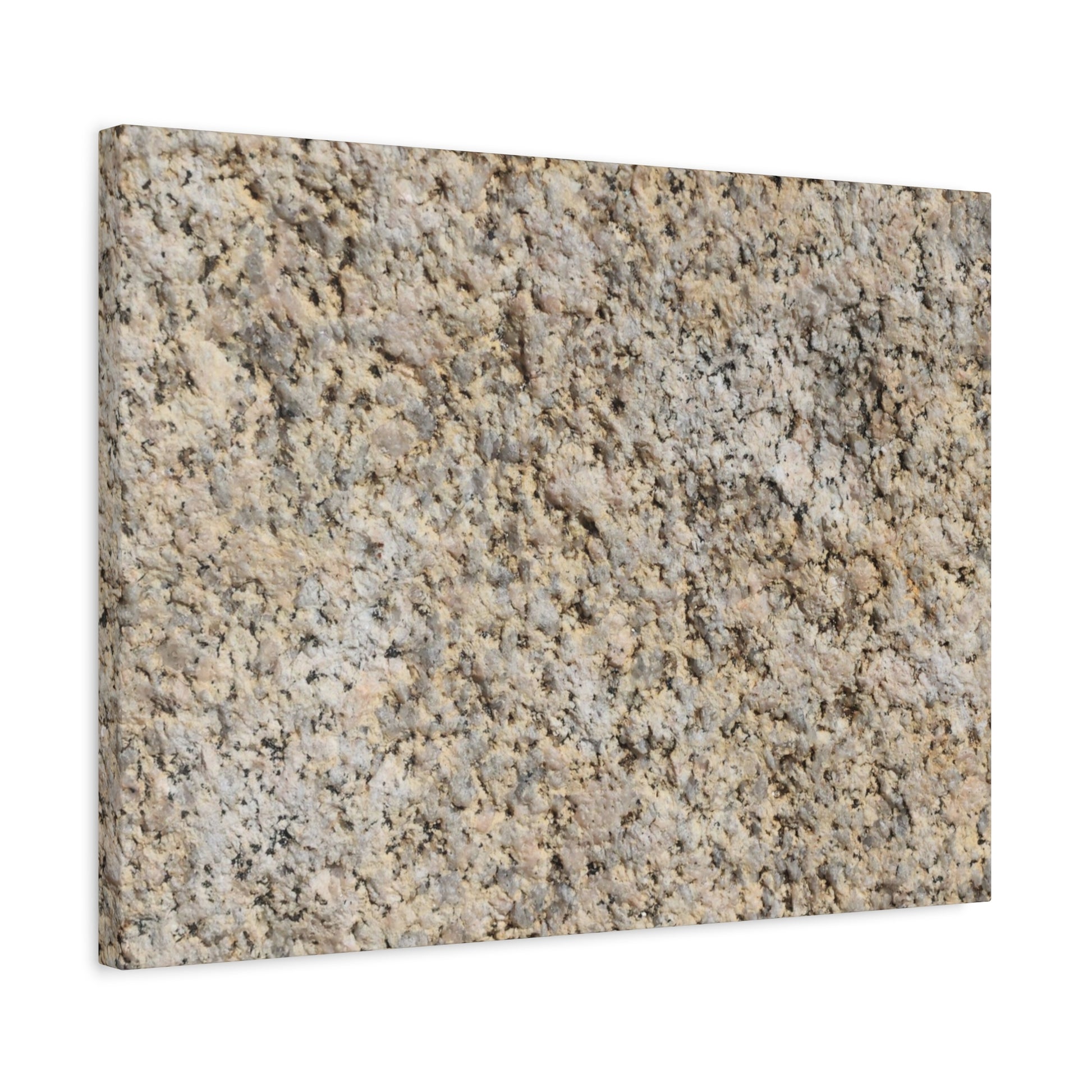 Granular Echoes - Unique Frameless Canvas Wall Art - Art By Earth