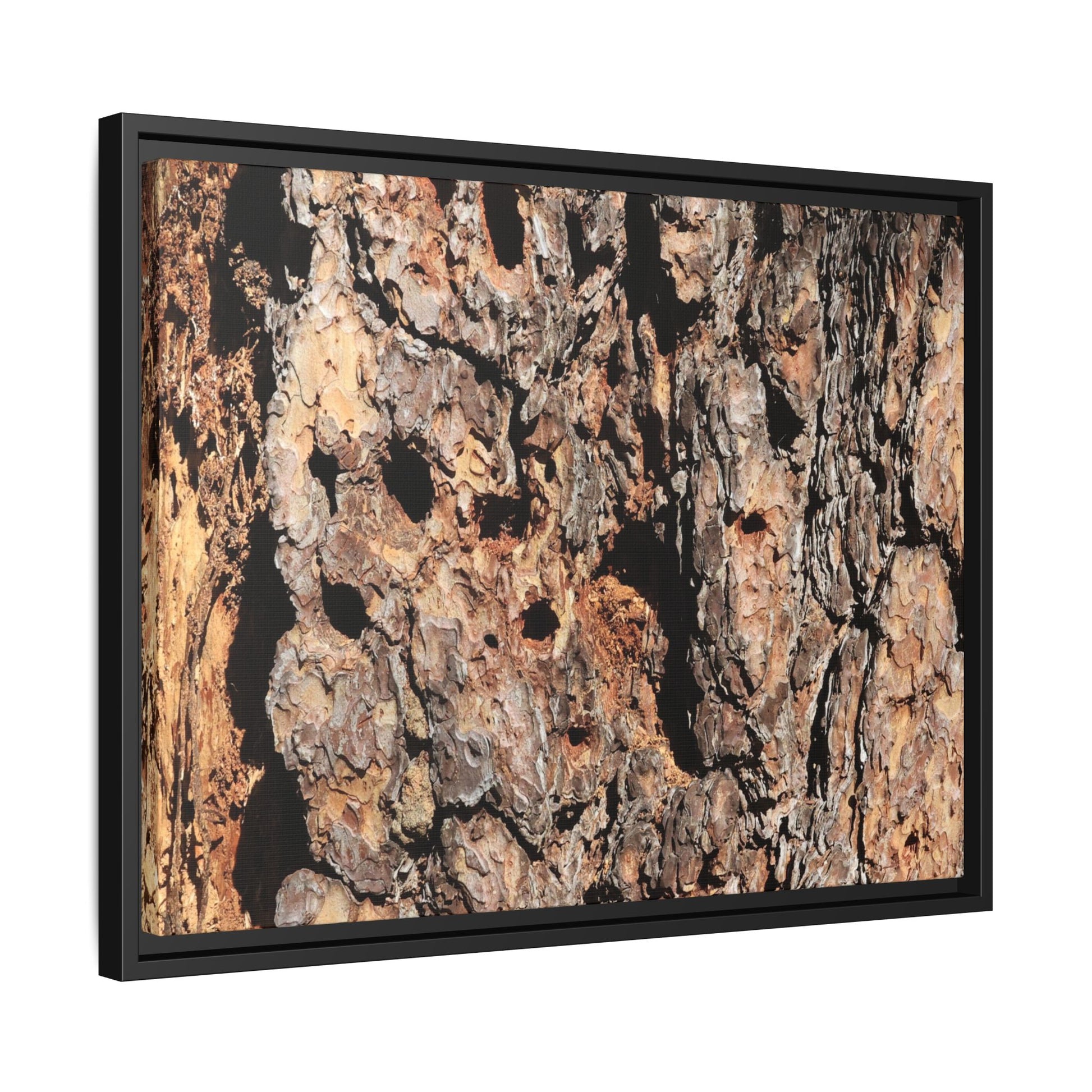 Rugged Rhythms - Unique Stretched Canvas Wall Art - Art By Earth