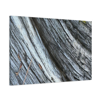 Weathered Wood Grain - Unique Frameless Canvas Wall Art - Art By Earth