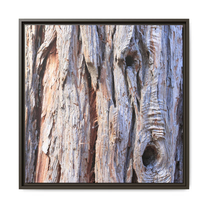 Nature's Grain - Unique Stretched Canvas Wall Art - Art By Earth