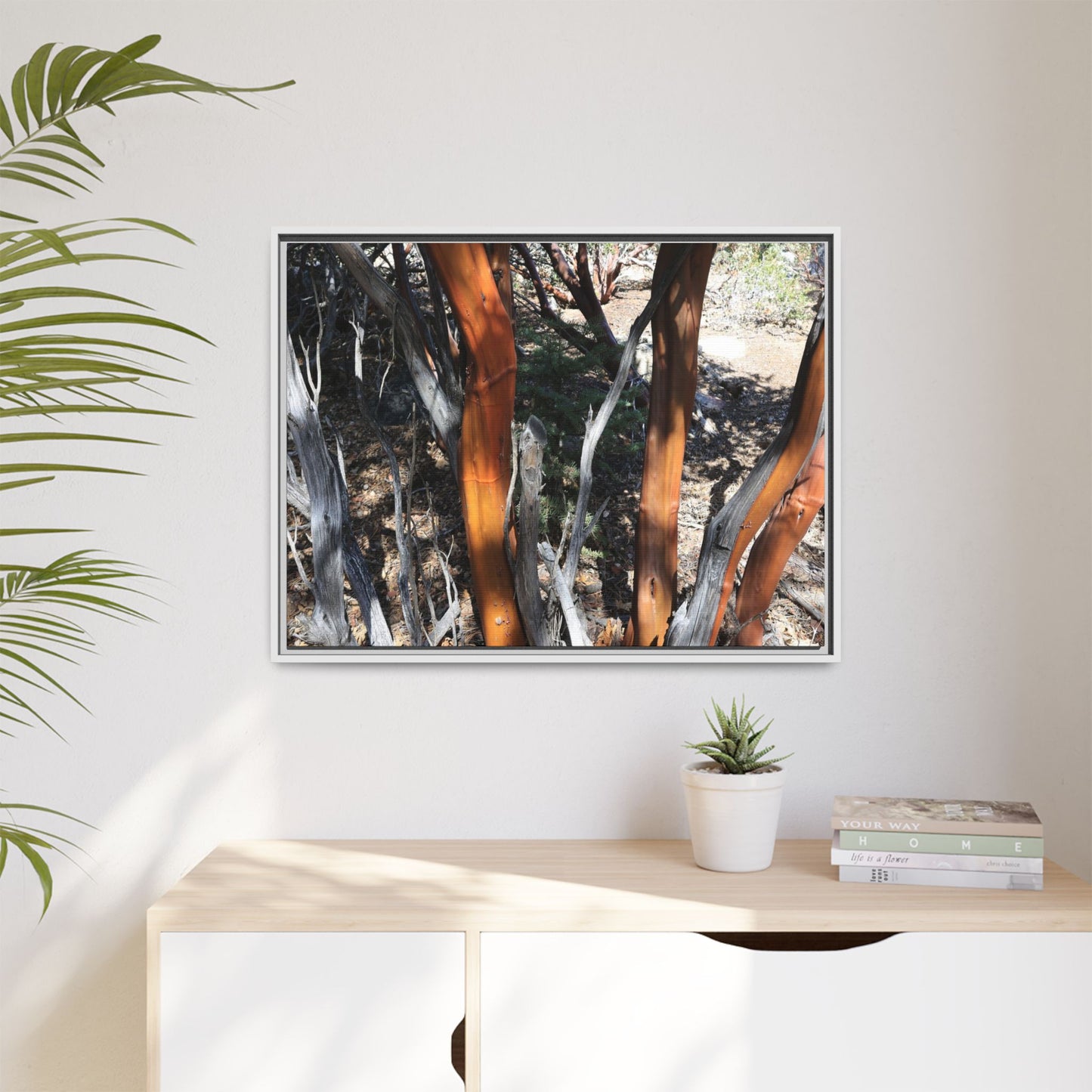 Eucalyptus Grove - Unique Stretched Canvas Wall Art