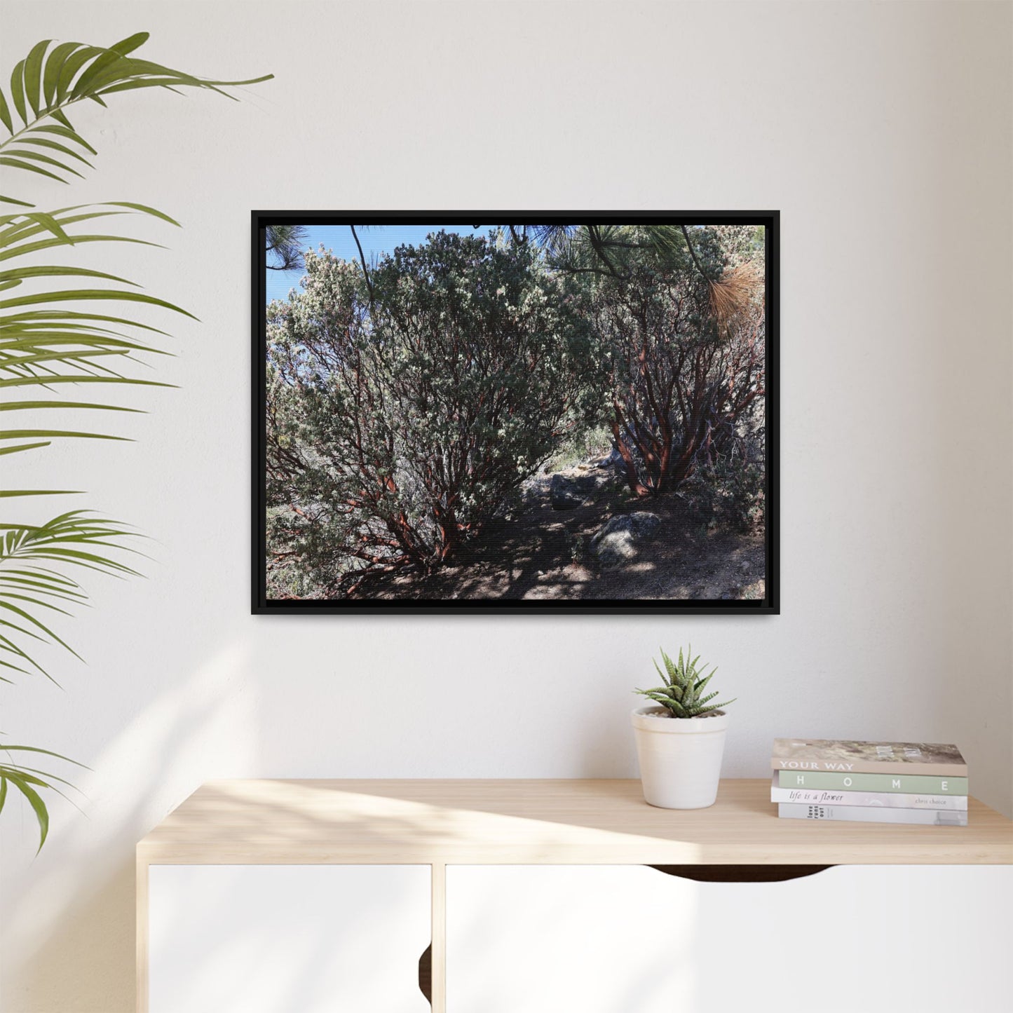 Desert Trail Through Blooming Manzanita - Unique Stretched Canvas Wall Art