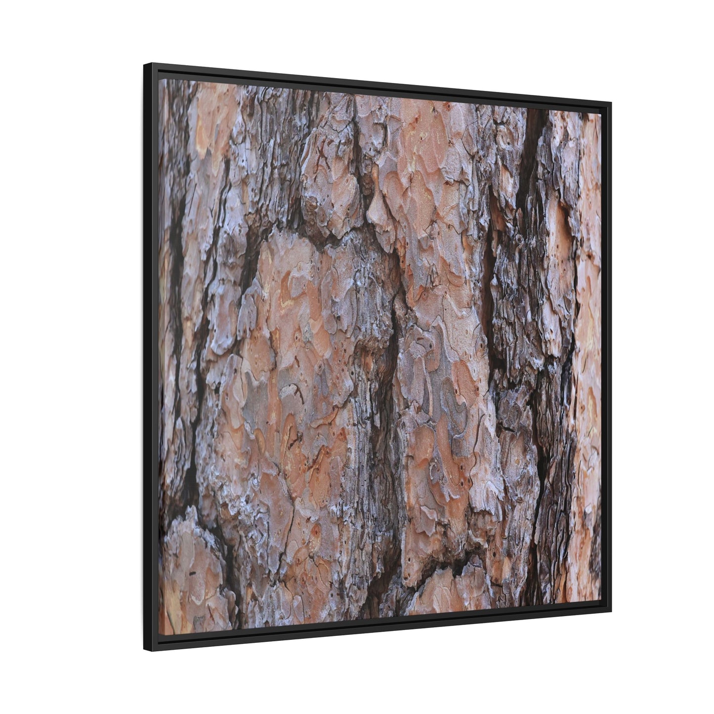 Tree Skin Symphony - Unique Stretched Canvas Wall Art - Art By Earth