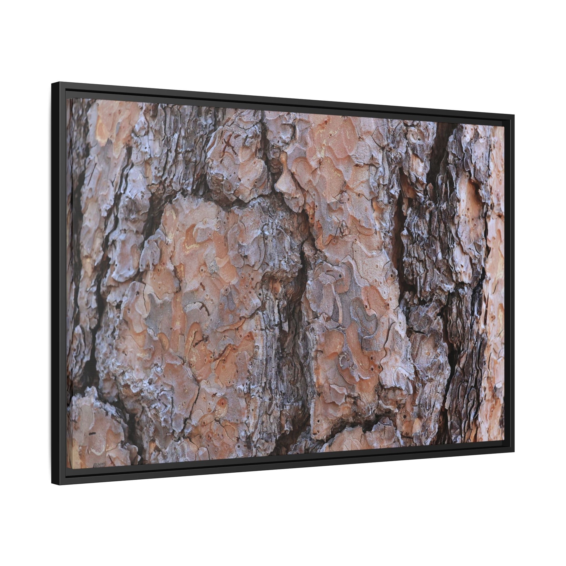 Tree Skin Symphony - Unique Stretched Canvas Wall Art - Art By Earth