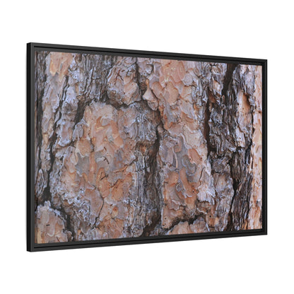Tree Skin Symphony - Unique Stretched Canvas Wall Art - Art By Earth