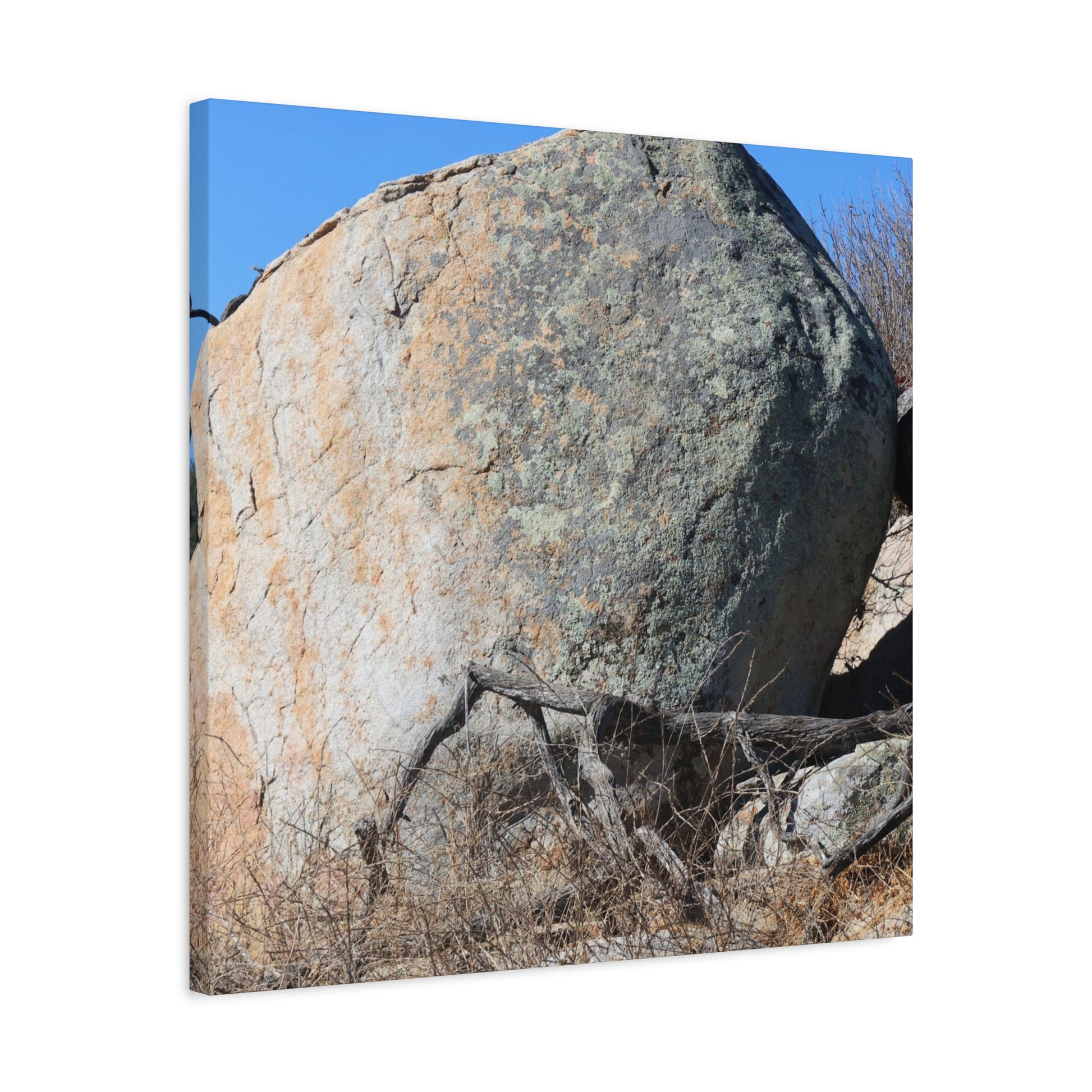 Boulder's Solitude - Unique Stretched Canvas Wall Art - Art By Earth