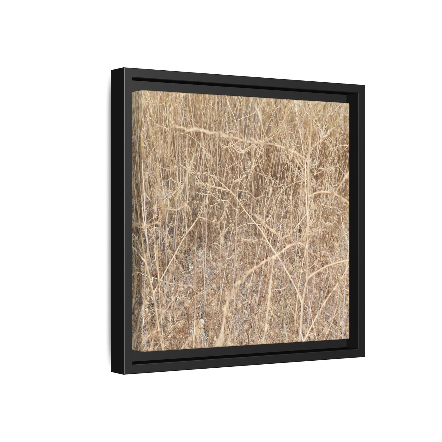 Golden Stalks - Unique Stretched Canvas Wall Art - Art By Earth