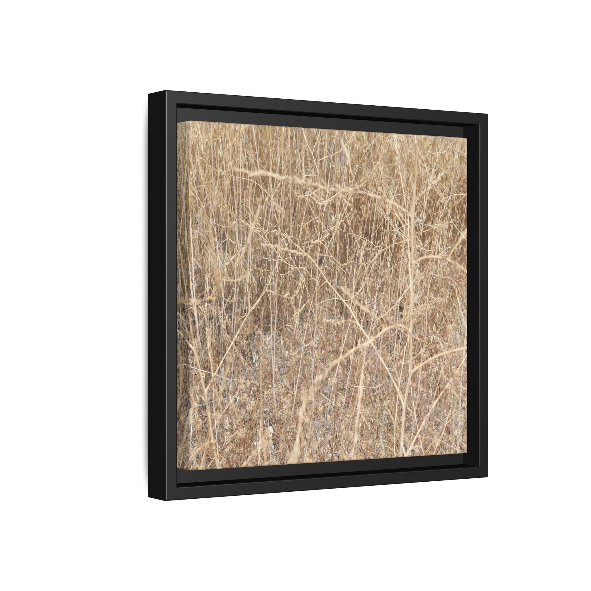 Golden Stalks - Unique Stretched Canvas Wall Art - Art By Earth