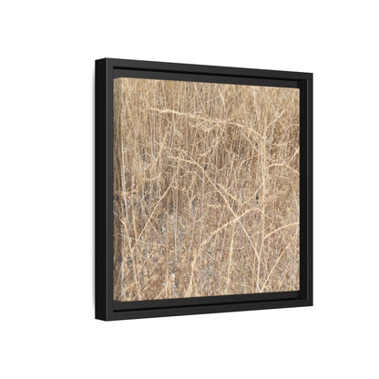 Golden Stalks - Unique Stretched Canvas Wall Art - Art By Earth