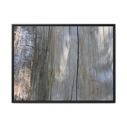Cracked Timber Texture - Unique Stretched Canvas Wall Art