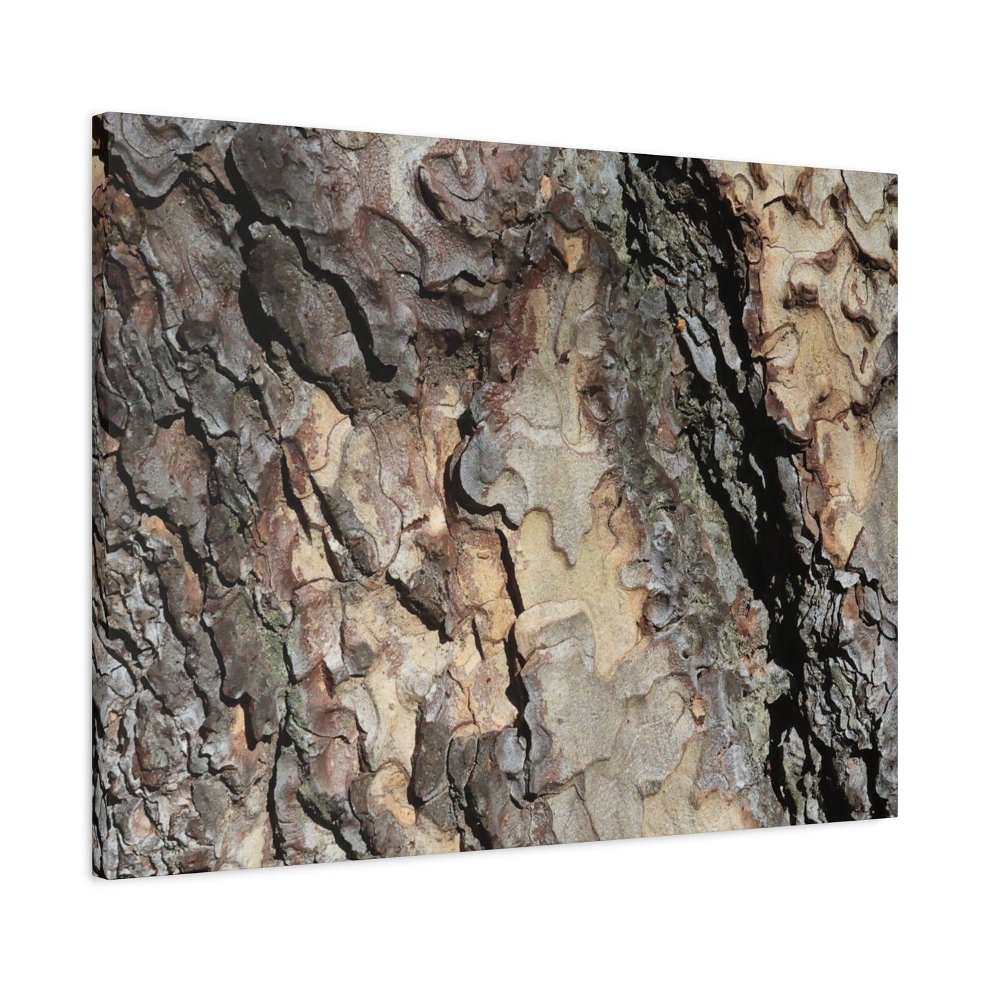 Tree Bark Symphony - Unique Frameless Canvas Wall Art - Art By Earth