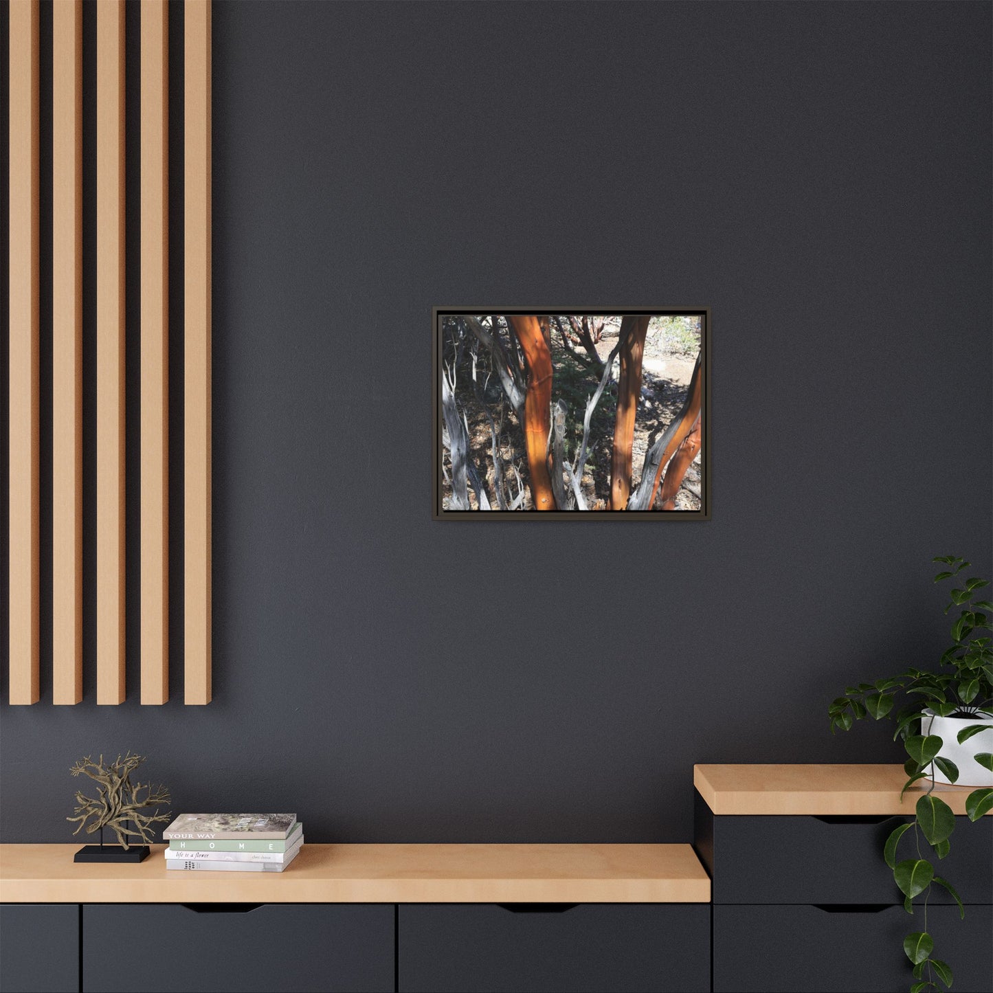 Eucalyptus Grove - Unique Stretched Canvas Wall Art