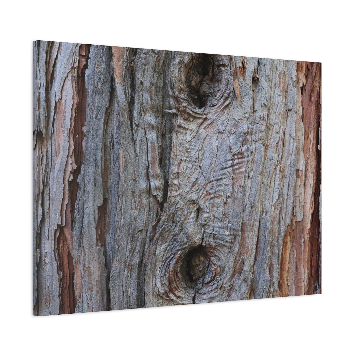 Wooden Memoir - Unique Frameless Canvas Wall Art - Art By Earth