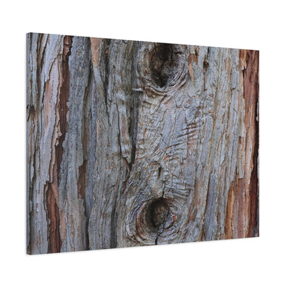 Wooden Memoir - Unique Frameless Canvas Wall Art - Art By Earth