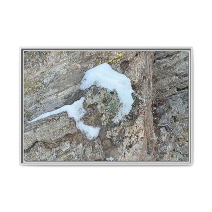 Lichen's Embrace - Unique Stretched Canvas Wall Art