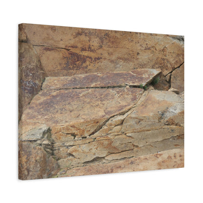 Rocky Terrain - Unique Frameless Canvas Wall Art - Art By Earth