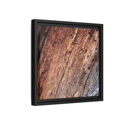 Time's Mark - Unique Stretched Canvas Wall Art - Art By Earth