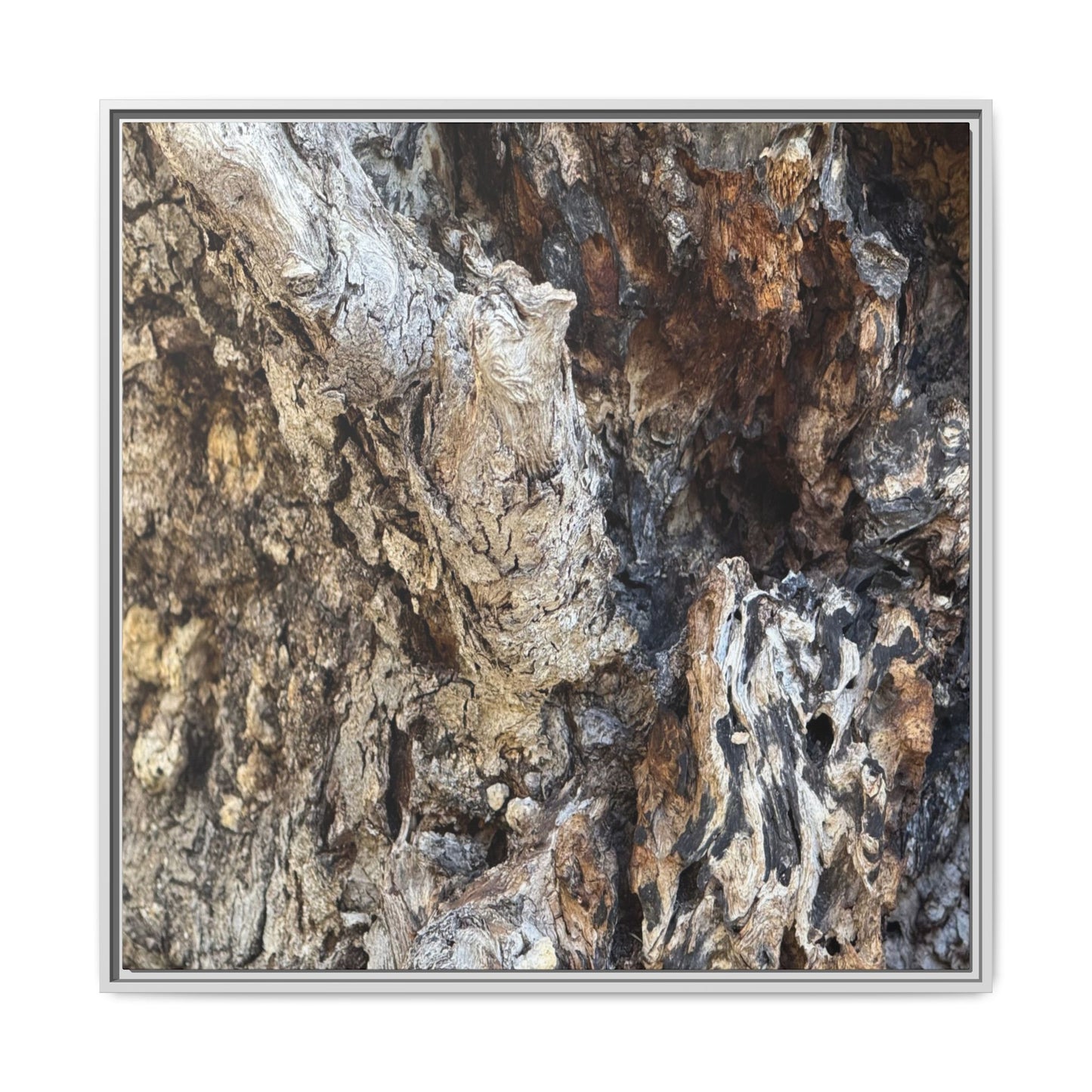 Ancient Tree Texture - Unique Stretched Canvas Wall Art - Art By Earth