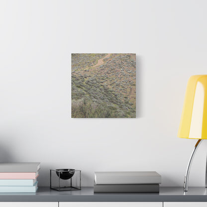 Desert Path Through Sagebrush - Unique Frameless Canvas Wall Art - Art By Earth