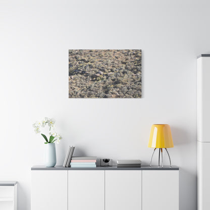 Desert Landscape with Scattered Rocks and Sage - Unique Frameless Canvas Wall Art - Art By Earth