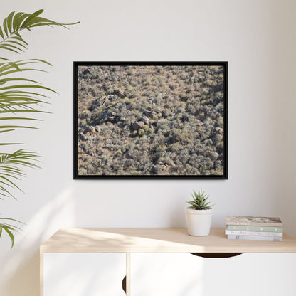 Arid Terrain Study - Unique Stretched Canvas Wall Art - Art By Earth