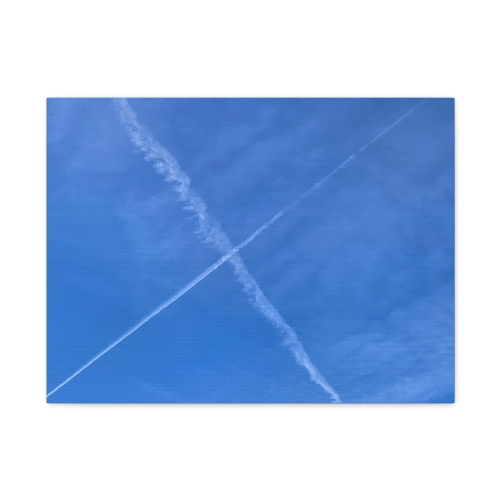 Crossing Paths - Unique Frameless Canvas Wall Art - Art By Earth