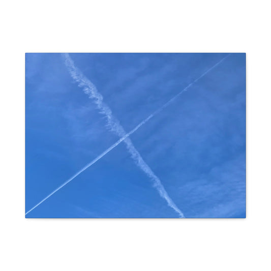 Crossing Paths - Unique Frameless Canvas Wall Art - Art By Earth