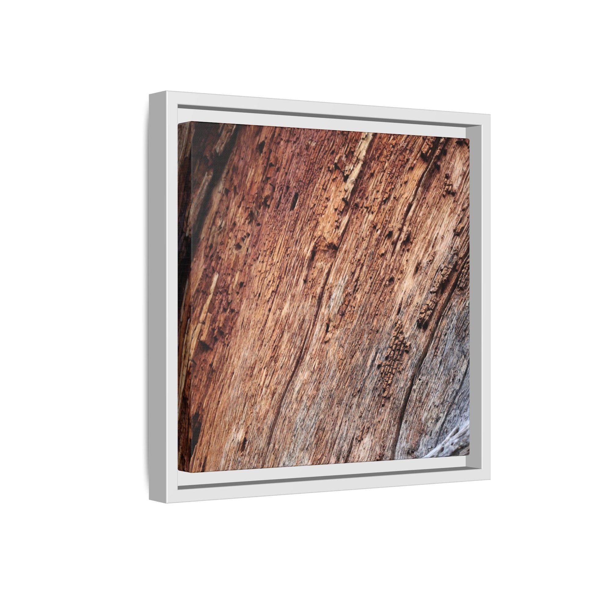Time's Mark - Unique Stretched Canvas Wall Art - Art By Earth