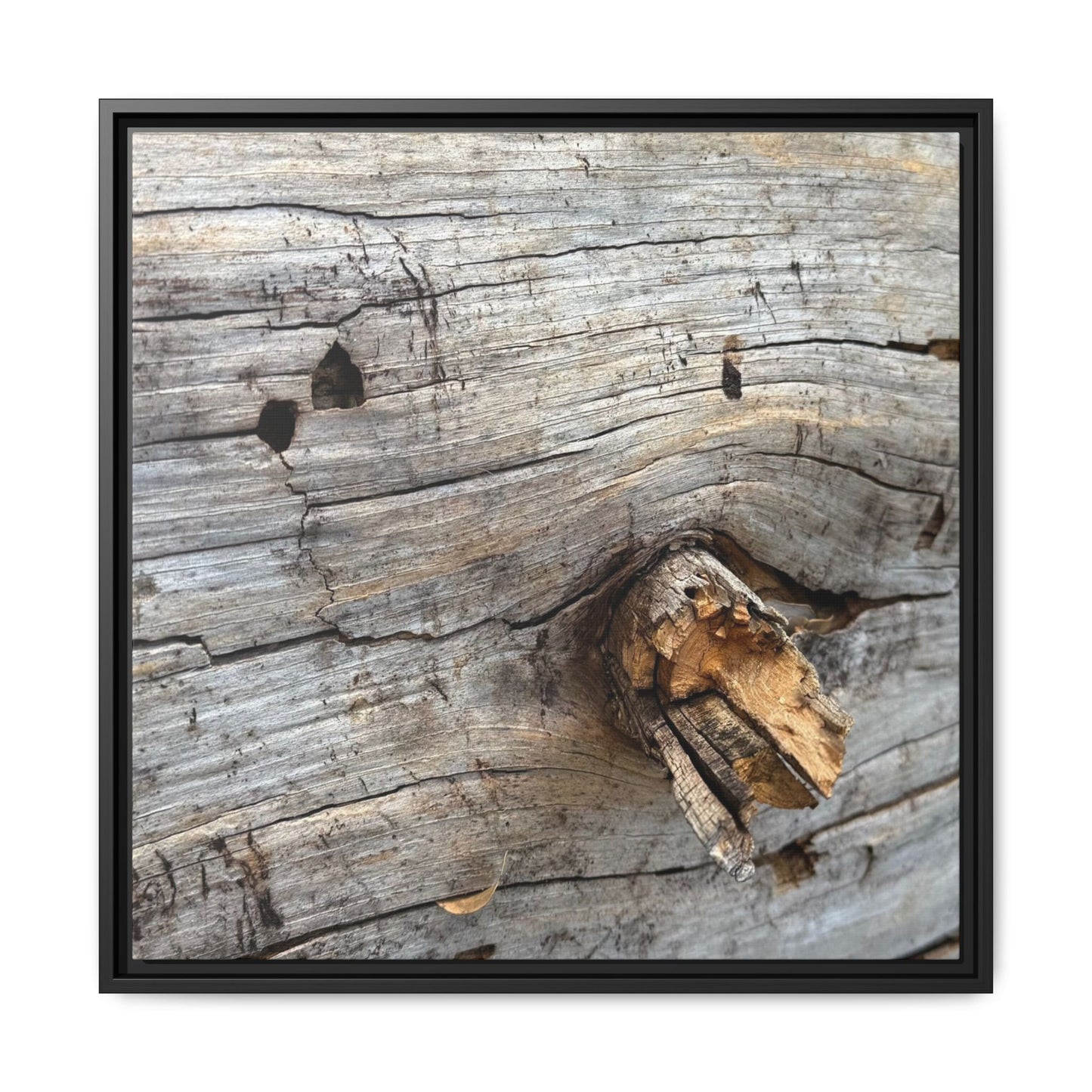 Weathered Wood Texture - Unique Stretched Canvas Wall Art - Art By Earth