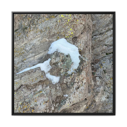 Lichen's Embrace - Unique Stretched Canvas Wall Art