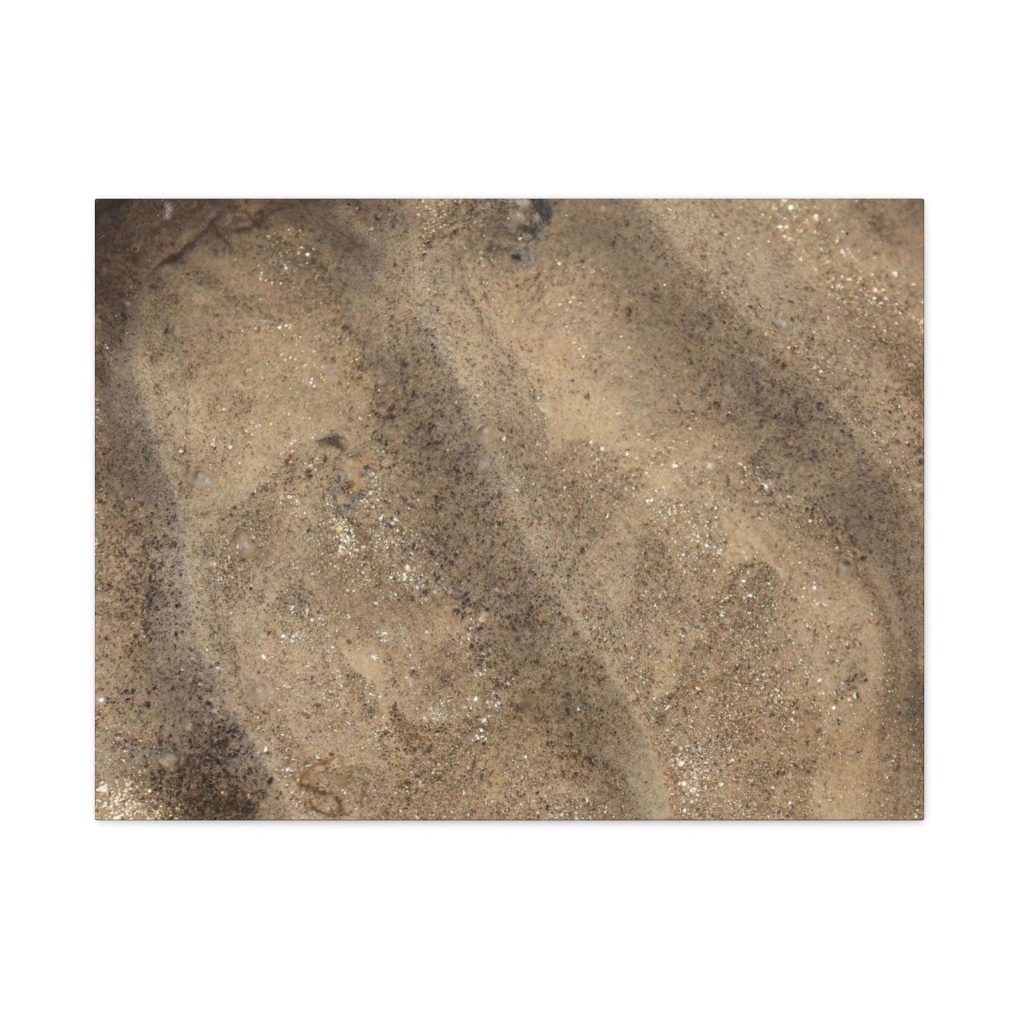 Shallow Waters - Unique Frameless Canvas Wall Art - Art By Earth