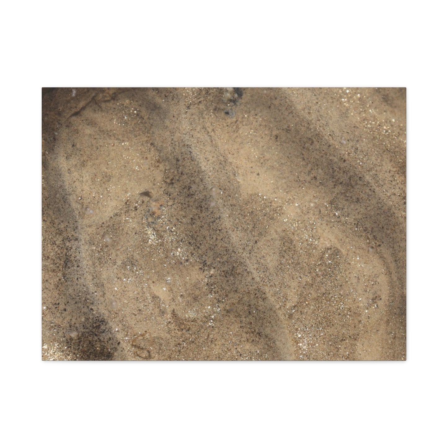 Shallow Waters - Unique Frameless Canvas Wall Art - Art By Earth