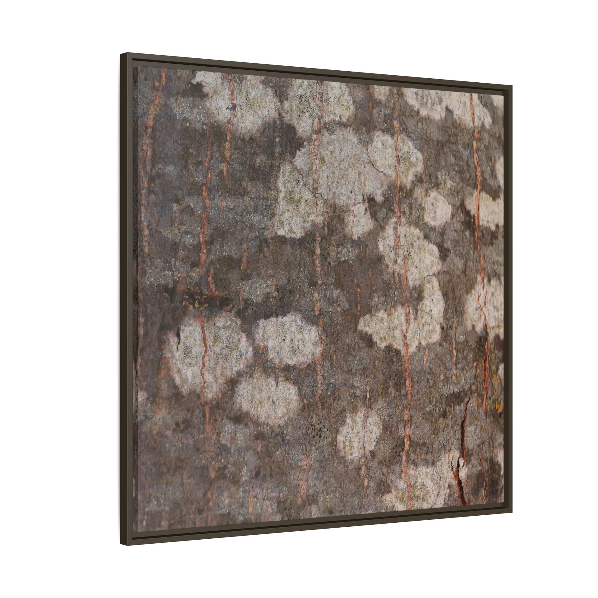 Lichen's Legacy - Unique Stretched Canvas Wall Art - Art By Earth