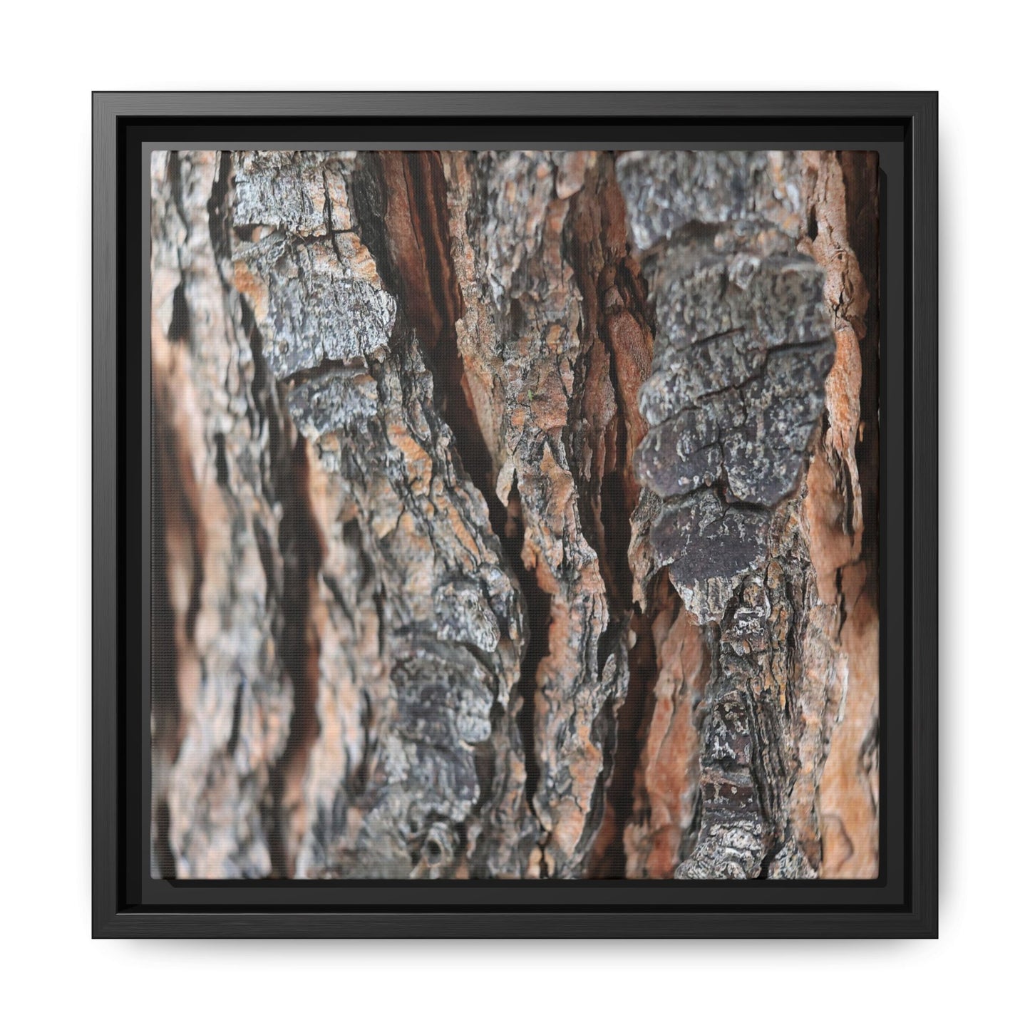 Fractured Nature - Unique Stretched Canvas Wall Art - Art By Earth