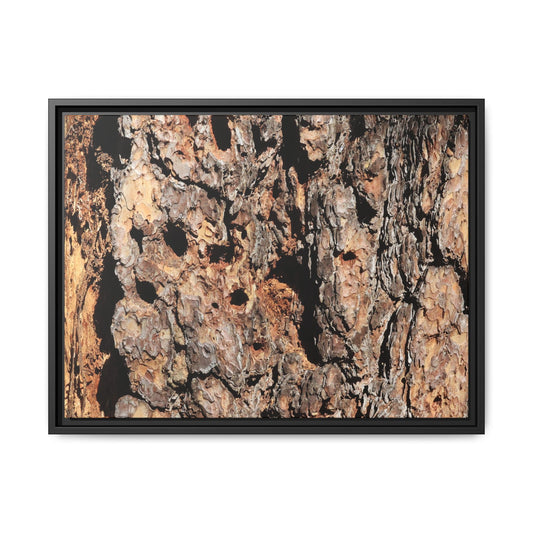 Rugged Rhythms - Unique Stretched Canvas Wall Art - Art By Earth