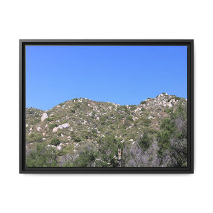 Sparse Vegetation - Unique Stretched Canvas Wall Art