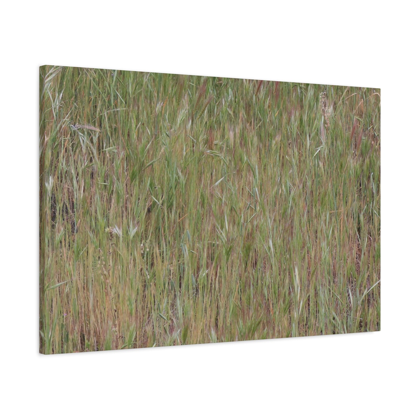 Whispers of the Prairie - Unique Frameless Canvas Wall Art - Art By Earth