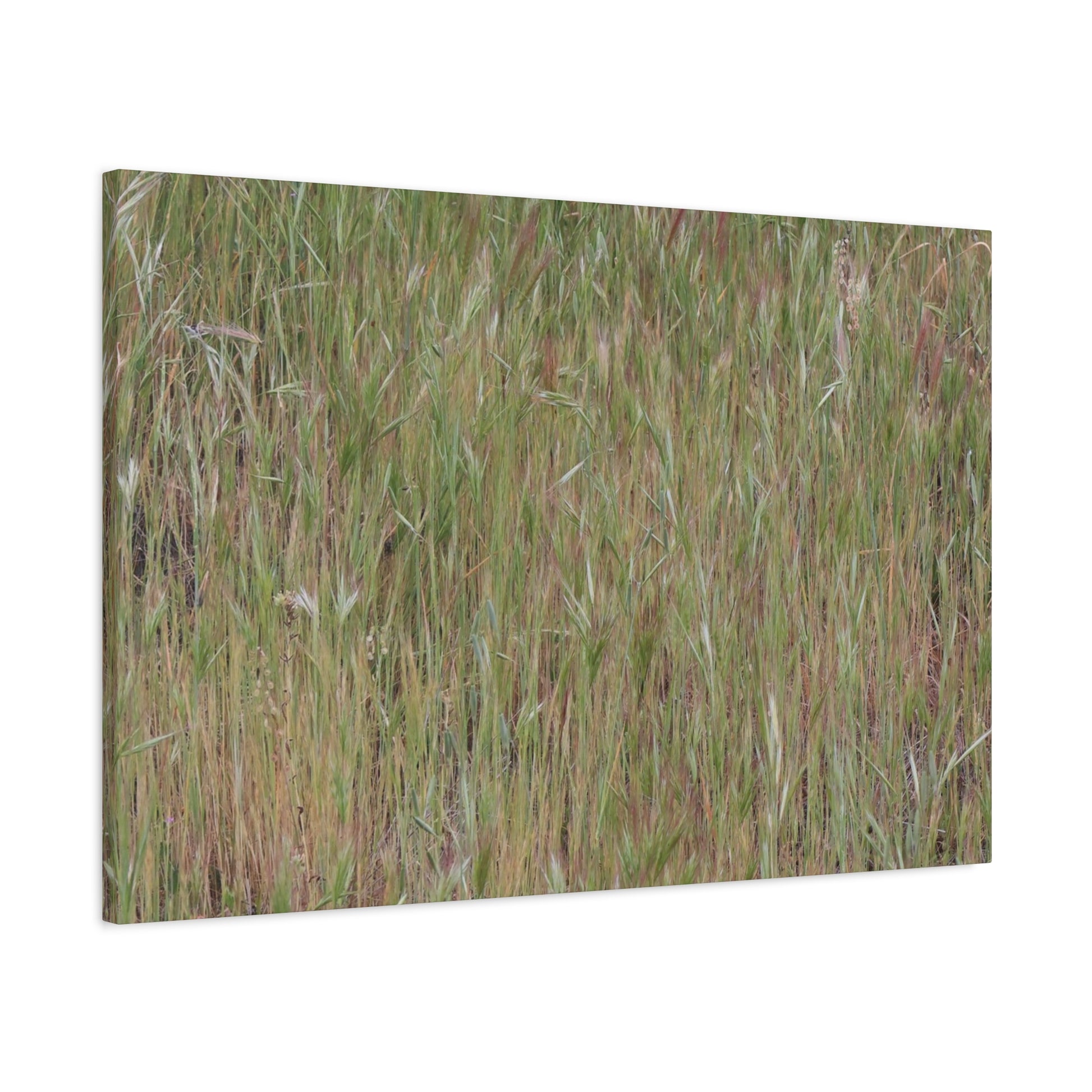 Whispers of the Prairie - Unique Frameless Canvas Wall Art - Art By Earth