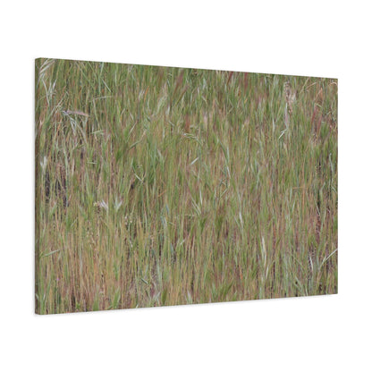Whispers of the Prairie - Unique Frameless Canvas Wall Art - Art By Earth