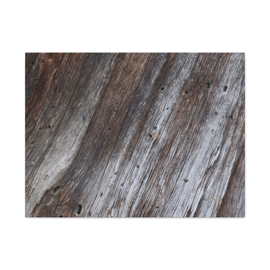 Aged Planks - Unique Frameless Canvas Wall Art - Art By Earth