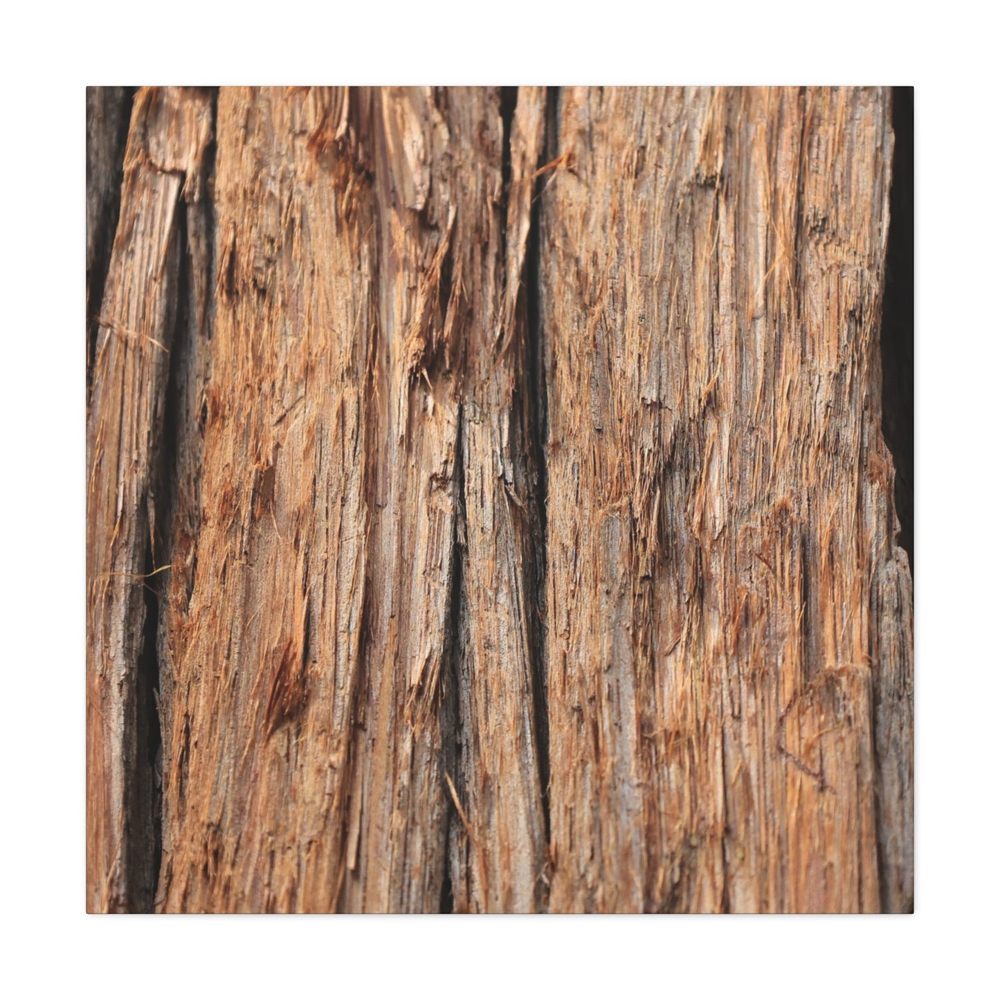 Woodland Echoes - Unique Frameless Canvas Wall Art - Art By Earth